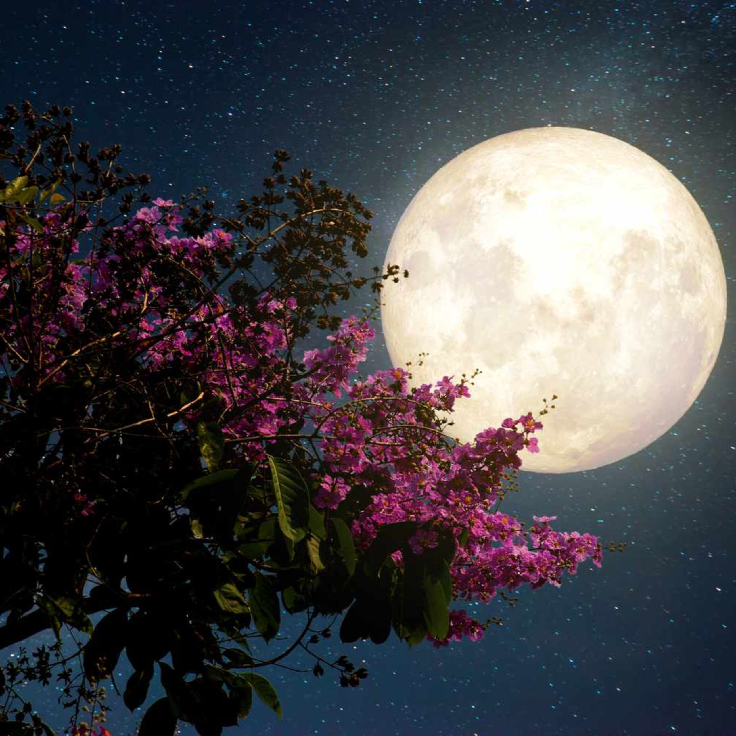 GG- Add’l 补充 -Healing of Yin Yang Balance with Moonlight 月光对阴阳平衡的疗愈 (中英文, English starts 1:17)