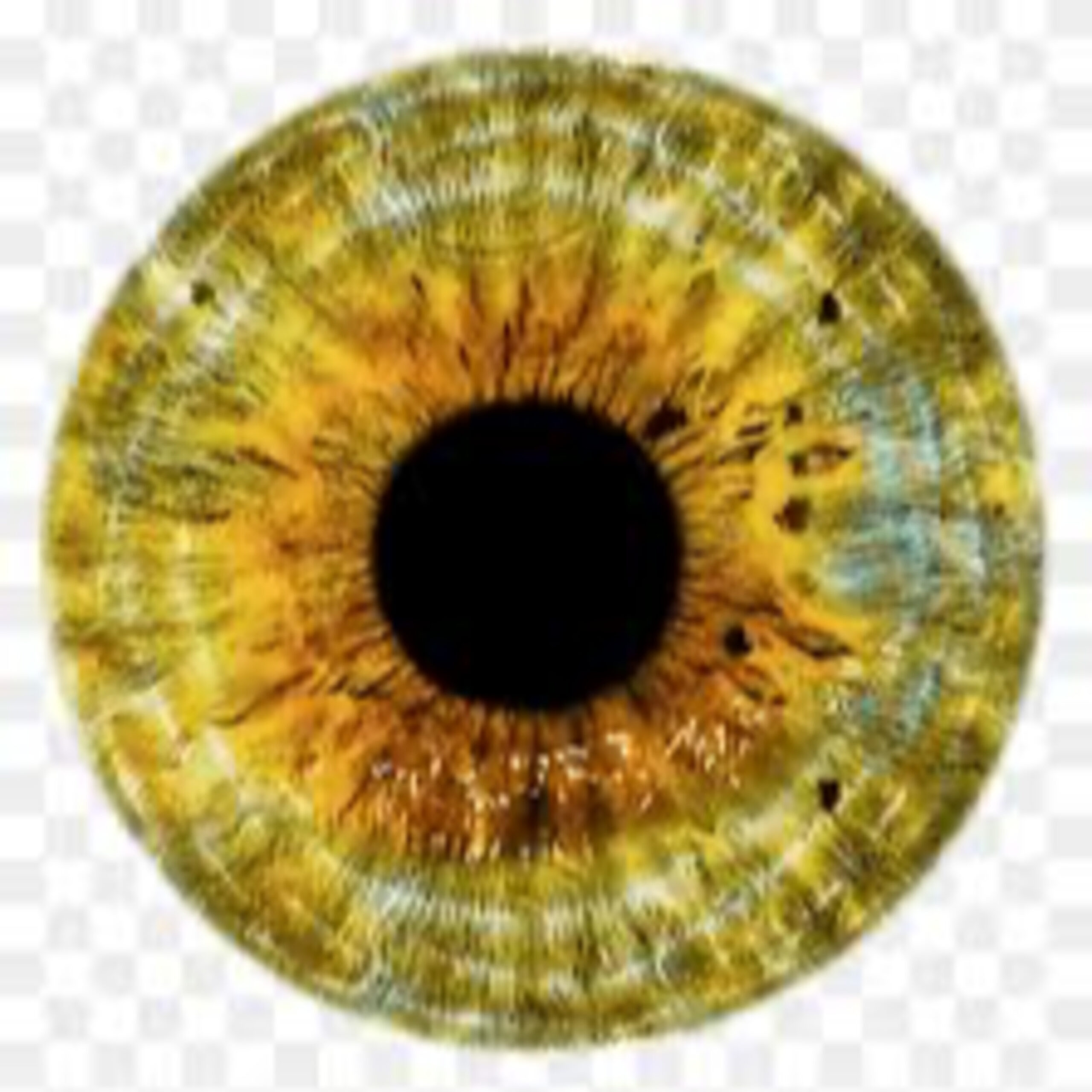 GG- Add’l 补充 -Use Gold Eye to View-Self-from-outside-in 用金眼向内观 (中英文, English starts 3:57)